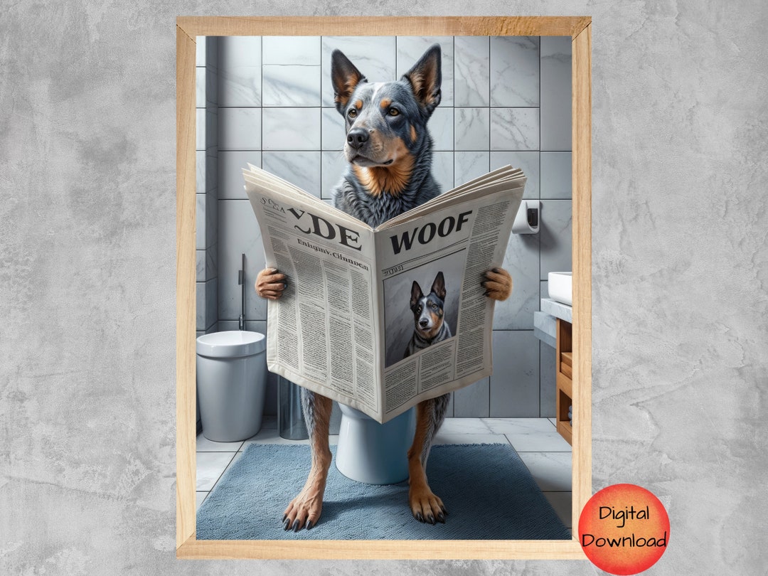 BLUE HEELER Sitting on Toilet Reading Newspaper, Australian Cattle Dog