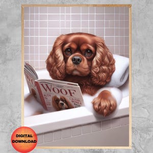 Può includere: Un cane Cavalier King Charles Spaniel marrone e bianco si rilassa in una vasca da bagno bianca con una rivista intitolata "Woof" sulle sue ginocchia. Il cane guarda la telecamera con un'espressione rilassata.