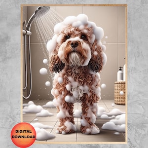 Peut inclure: Un chien brun et blanc à poil bouclé est recouvert de bulles blanches alors qu'il se tient sous une douche. Le chien regarde la caméra.
