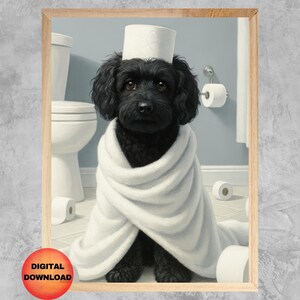 Puede incluir: Un caniche negro con una toalla blanca, sentado en un baño con rollos de papel higiénico y un inodoro en el fondo.