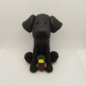 May include: Black Labrador Retriever dog figurine holding a green and yellow rubber duck. The dog is sitting with its paws tucked under its body.