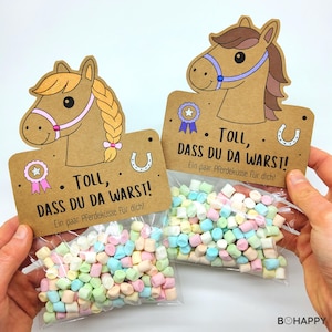 Könnte beinhalten: Zwei transparente Beutel gefüllt mit pastellfarbenen Marshmallows, jeweils mit einer braunen Karte mit einer Pferdekopfillustration versehen. Auf den Karten steht "Toll, dass du da warst!" mit Stern und Hufeisen.