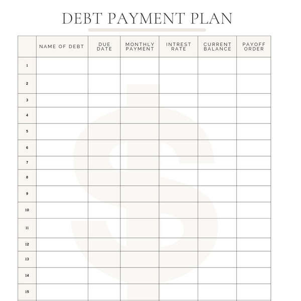 Debt Payment Plan