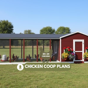 Puede incluir: Un gallinero rojo y blanco con un techo gris oscuro, que alberga varias gallinas. El gallinero tiene un cerramiento de malla metálica y una zona cerrada separada. El texto de la imagen dice "20-24 Chickens" y "Chicken Coop Plans".