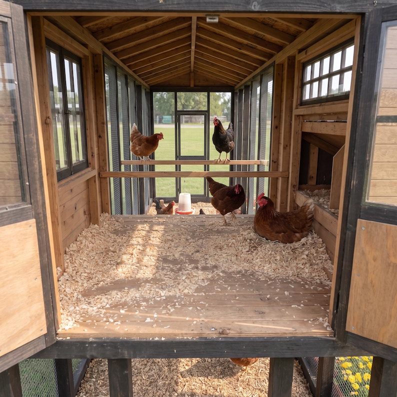 chicken coop plans
chicken house plans
chicken coop
chicken coop and run
chicken nesting box
walk in chicken coop
chicken coop pdf
coop with run
predator proof coop
tall chicken coop
homestead coop plans
modern chicken coop
diy chicken coop
chicken run plans
coop plans with run
walk in coop plans
chicken coop blueprints
backyard chicken coop
hen house plans
chicken coop building plans
large chicken coop plans
chicken coop plans with run
poultry house plans
predator proof chicken coop