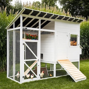 DIY Modern Chicken Coop Plan: Enclosed Run, Ventilated Design (PDF Download)
