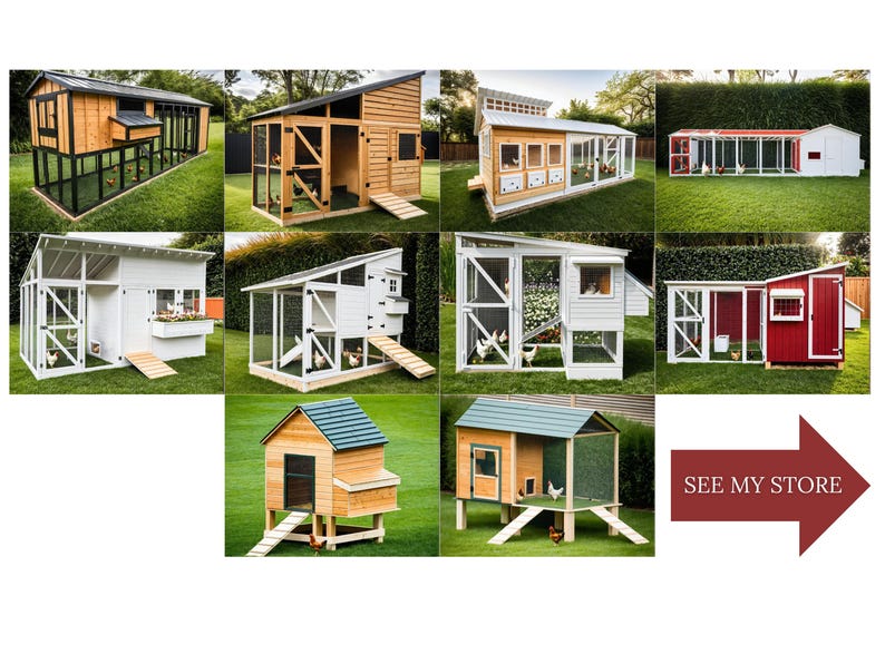 Modern Chicken Coop Plans 1620 Chickens DIY Woodworking Plans PDF