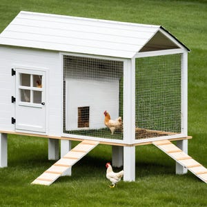 Modern Chicken Coop Build Plan: Enclosed Hen House DIY (PDF)