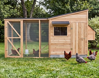 Large Walk In Chicken Coop Plans, 6-12 Hens, Wooden Backyard Hen House (PDF)
