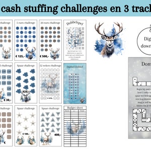 Set challenges for cash stuffing, saving euros, savings games, change challenge, a6 budget binder, digital download, Dutch