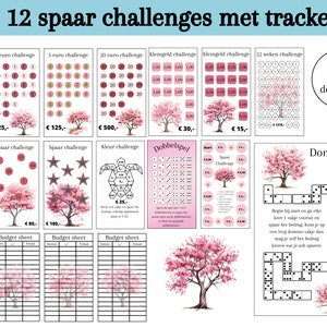 Set challenges for cash stuffing, saving euros, savings games, change challenge, a6 budget binder, digital download, Dutch