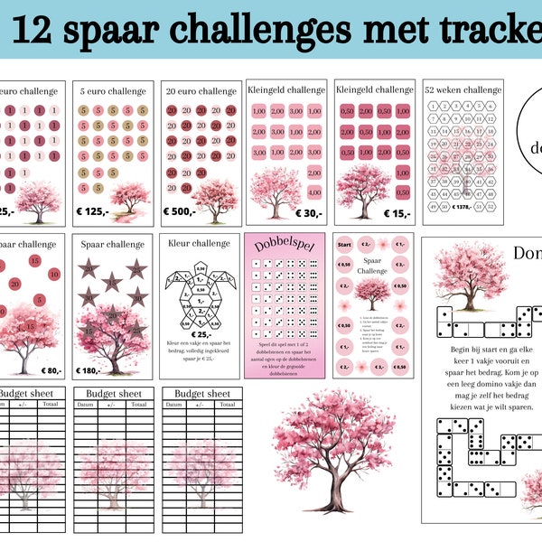 Set challenges voor cash stuffing, euro sparen, spaar spellen, kleingeld challenge, a6 budget binder, digital download, nederlands