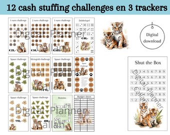 Set challenges voor cash stuffing, euro sparen, spaar spellen, kleingeld challenge, a6 budget binder, digital download, nederlands
