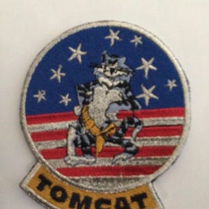 Parche bordado con hilo metálico de la Fuerza Aérea de EE. UU. con el diseño del TOMCAT.