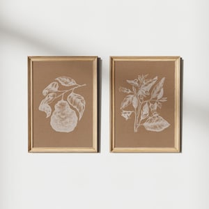 Set of 2 Vintage Botanical Sketch Wall Art, Terracotta Print, Rustic Botanical Print, Burnt Orange Print, Antique Decor, Instant Download