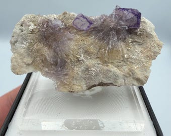 Flor de creedita cristalizada con fluorita – fosforescencia