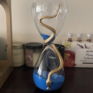 Hourglass, Snake Hourglass, Sand Timer, 60 minute timer, 60 minute Sand Timer, Halloween Decor, Halloween Decor, Halloween Decorations