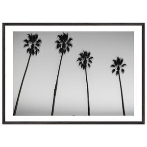 Stampa fotografica di una palma in bianco e nero – Arte murale minimalista della costa californiana, decorazione per la casa incorniciata e pronta da appendere