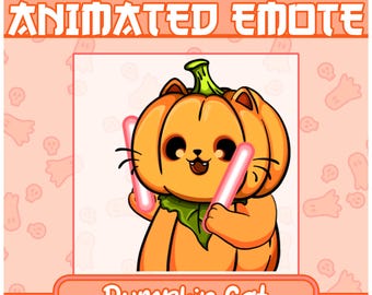 Pumpkin Cat Emote | Cat Emote , Pumpkin Emote , Halloween Emote , Cute Emote, Cheer Emote, Kick Emote, Discord Emote, Dance and Cheer Emote
