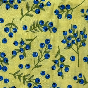 Windham Fabric “Meadow Whispers” - By Bex Morley - 2 3/4 Yards