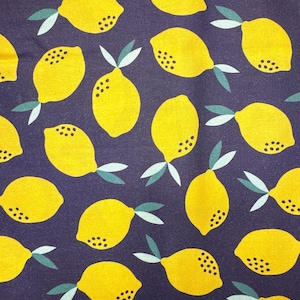 Paintbrush Fabric “Fruity” - By Maja Ronnback - 1 1/2 Yards