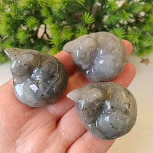 Pode incluir: Três esculturas de gato de cristal de labradorita cinza, cada uma esculpida em uma posição de dormir enroscada.