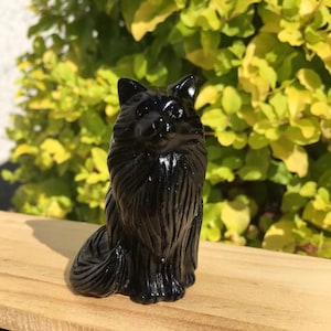 May include: A black obsidian cat figurine with a shiny, polished finish. The cat is sitting with its tail curled around its legs.
