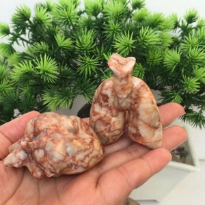 May include: Two hand-carved stone sculptures of a heart and lungs. The sculptures are made of a white stone with red and brown veins. The sculptures are about 4 inches tall.