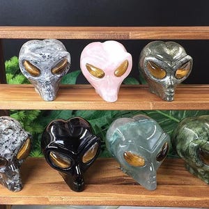 May include: A collection of alien head sculptures in various colors and materials, including pink, black, and green. Each head features large, oval eyes with a golden-brown hue. The sculptures are displayed on wooden shelves.
