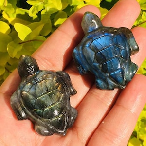 May include: Two small, carved turtle figurines made of labradorite. The turtles are iridescent with shades of blue, green, and black.