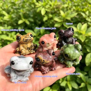 May include: A collection of six small, carved stone frog figurines in various colors and textures. The frogs are labeled with names like "Chinese painting stone," "Peach blossom jade," and "Garnet." The background is blurred green foliage.