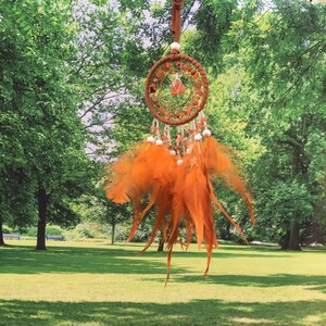 May include: A dream catcher with orange feathers and a brown beaded hoop with a red crystal in the center. The dream catcher is hanging from a tree branch in a green grassy area.