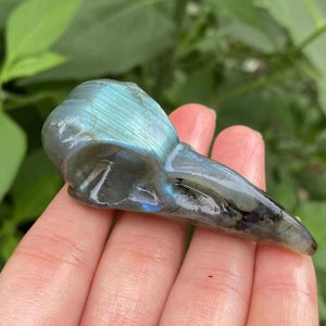 Natural Labradorite Crystal Quartz,Carved Raven Skull, Crystal Quartz Skull ,Hand Carving,healing Home Decor,Energy Halloween 1pc