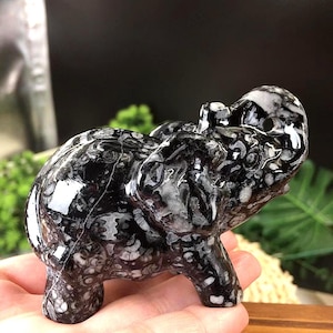May include: A small, polished stone elephant figurine in black and white. The figurine has a detailed pattern and is held in a hand. The elephant is standing with its trunk raised.