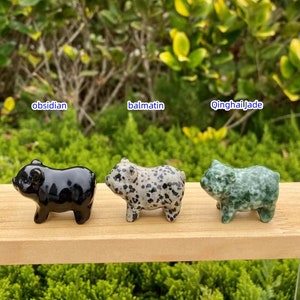May include: Three small pig figurines made of different materials. The first is black obsidian, the second is balmatin with black spots, and the third is Qinghai Jade, a green stone. The figurines are displayed on a wooden surface.