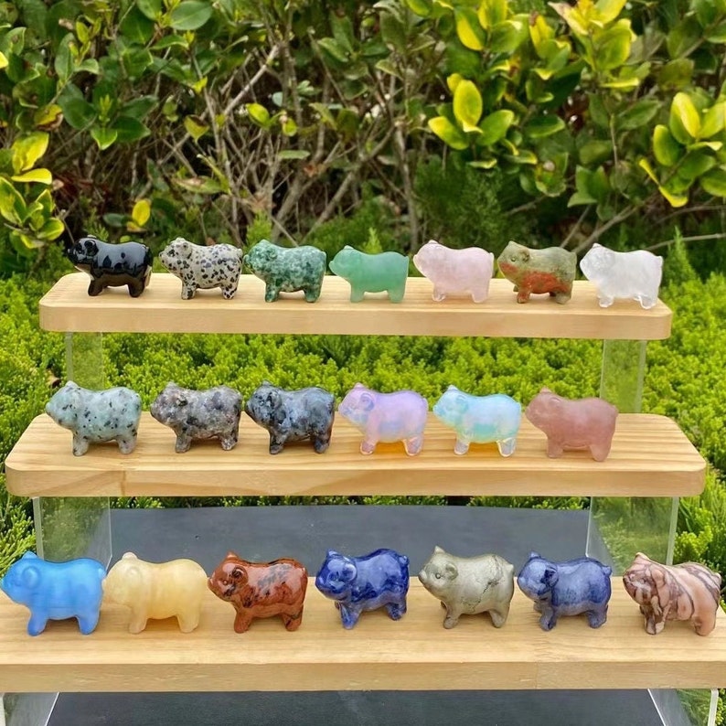 May include: A collection of small, carved pig figurines in various colors and materials, including black, green, pink, and blue. The figurines are displayed on three wooden shelves against a backdrop of green foliage.