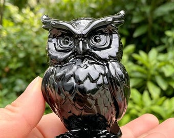 May include: A glossy black owl figurine with detailed feather and eye features. The owl is perched upright, showcasing its prominent eyes and a textured surface. This decorative item is likely a collectible or home decor piece.