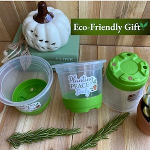 May include: A collection of eco-friendly planting pots with green bases and lids, alongside a white pumpkin-shaped candle holder. The pots have the text "Planting PEACE Daily" on them. The image also includes sprigs of rosemary.