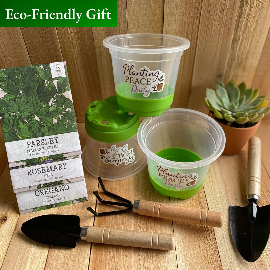 Herb Garden Kit Indoor Gardening Set Beginner Gardener Gift Kitchen ...