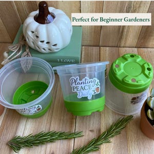 Puede incluir: Una calabaza de cerámica blanca con un tallo marrón se encuentra sobre un libro verde. Las macetas de plástico transparente con bases y tapas verdes están dispuestas sobre una superficie de madera. Las macetas tienen el texto "Planting Peace Daily".