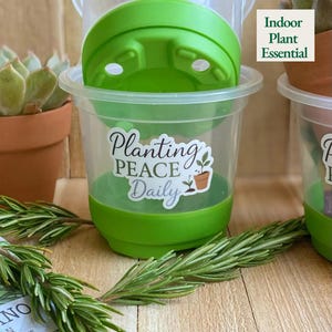 May include: Clear plastic plant pots with green bases and lids. The pots have a sticker that says "Planting Peace Daily". The image also includes a succulent in a terracotta pot and rosemary sprigs. The text "Indoor Plant Essential" is also visible.