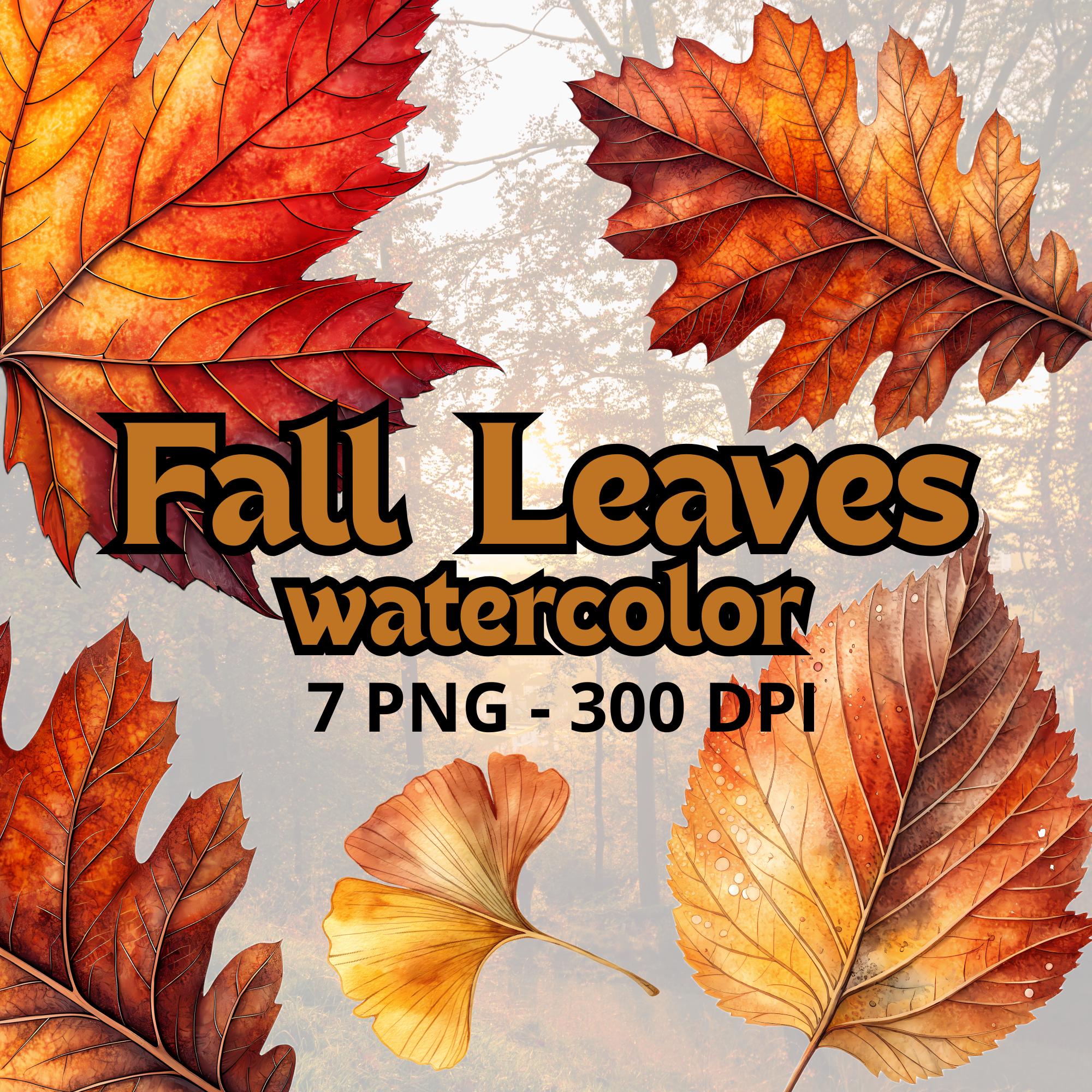 7 Watercolor Fall Leaves Clipart Digital Download Autumn Leaves Clipart ...