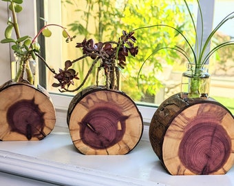 Cedar Plant Propagation Station | Cedar Wood Bud Vase w/ Live Plants