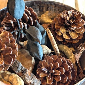 May include: A decorative bowl filled with natural elements. The bowl contains several brown pine cones, dark blue seed pods, and pieces of wood. The bowl has a metallic finish and is partially filled.