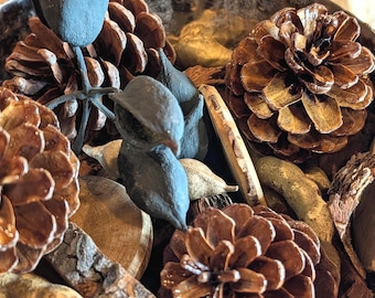 May include: A decorative bowl filled with natural elements. The bowl contains several brown pine cones, dark blue seed pods, and pieces of wood. The bowl has a metallic finish and is partially filled.
