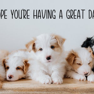 Könnte beinhalten: Fünf süße Border-Collie-Welpen mit weißem, braunem und schwarzem Fell kuscheln sich auf einer Holzoberfläche aneinander. Die Welpen schauen mit neugierigen Blicken in die Kamera. Der Text "HOPE YOU'RE HAVING A GREAT DAY!" steht über den Welpen.