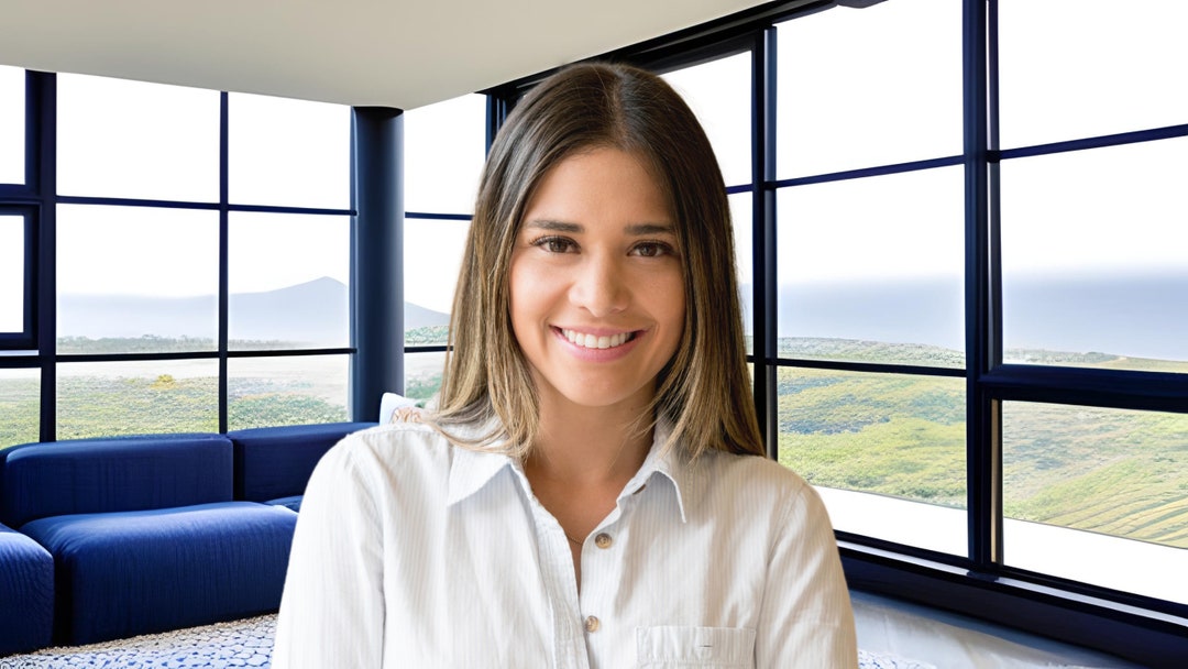 Window Scenery Zoom Background Virtual Background Virtual Etsy