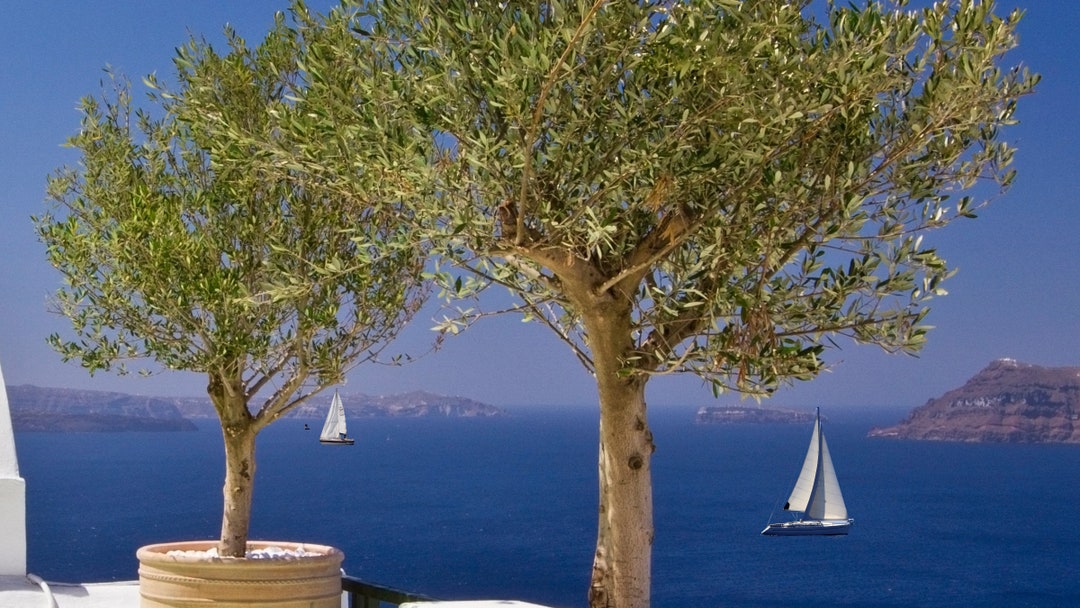 Digital Scenery Zoom Background, Zoom Backgrounds Home Office, Vipkid