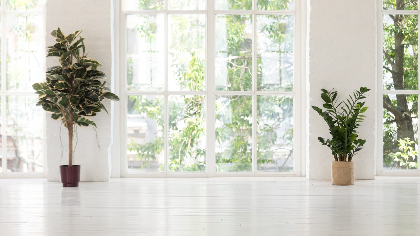 Window Zoom Background, Online Class Virtual Background, Yoga Studio