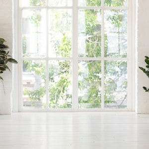 May include: Two potted plants in a white room with large windows. The plant on the left is a variegated ficus with dark green and yellow leaves. The plant on the right is a dracaena with dark green leaves. Both plants are in brown pots.